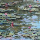 Water Lilies